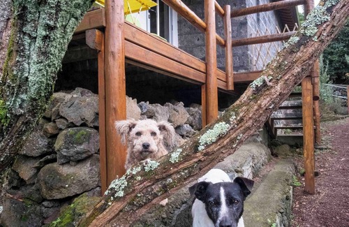 Ribeira Grande Cottage | Comfortable cottage on a small farm