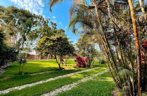 Trujillo House | Comfortable country house near CHAN CHAN/Huanchaco