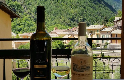 Isola Apartment | Comfortable family chalet between the ski resorts of Isola 2000 and Auron