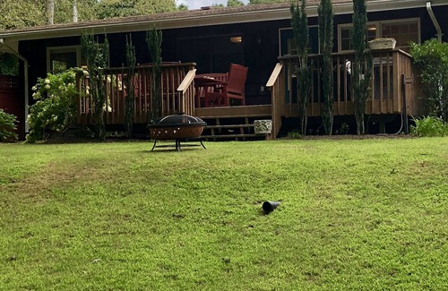 Montauk House | Comfortable family home backing up to preserve land- 5 min to Ditch