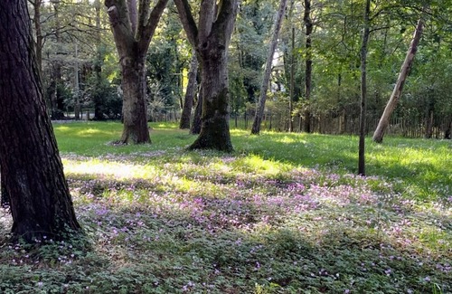 Suce-sur-Erdre Condo | Comfortable gîte, spacious garden with swimming pool, close to the Erdre river.