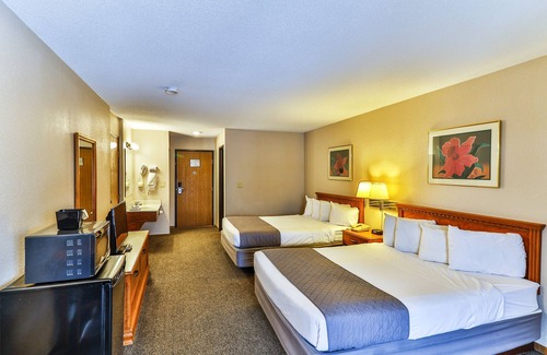 Wisconsin Dells Hotel | Comfortable Hotel Room @ Polynesian Hotel