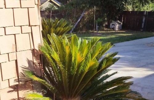 Bungalow Heaven House | Comfortable House with Back Yard In Pasadena California
