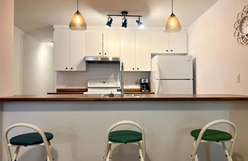 Vieux-Limoilou Apartment | Comfortable in Limoilou, close to everything – four-legged friends welcome