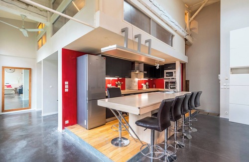 Lille-Moulins Apartment | COMFORTABLE LOFT authentic intramural Lille