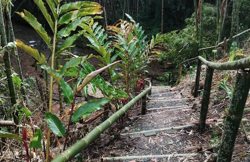 Pereira House | Comfortable room with 3 double beds in best area of coffee region