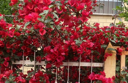 Torre Angela Apartment | Comfy cosy apartment