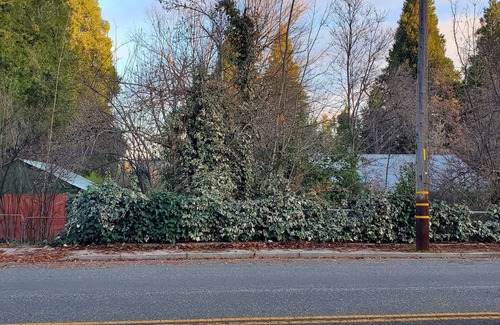 Grass Valley House | Comfy, spacious 1 bedroom house in Grass Valley, bohemian, romantic, artsy, cozy