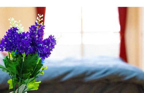 Nakajimakoen Apartment | COMMENCE Use hypochlorous acid when cleaning - 402 / Sapporo Hokkaidō