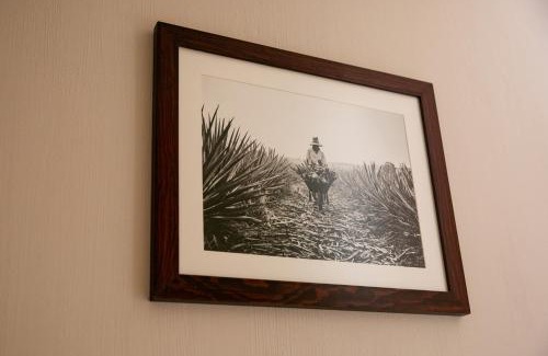 Tequila House | Comoda Casa Privada