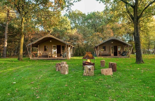 Ruinen Ski Chalet | Compact chalet with terrace