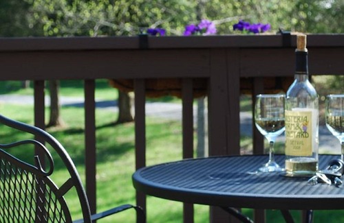 Rileyville Cabin | Competitive Prices, Beautiful Views, River, Fun Activities, Not Far from Dc