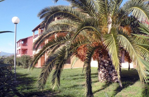 Ghisonaccia Apartment | Compl. Res. Sea race - Studio cabin 2/3 pers. - Studio cabin 2/3 pers.