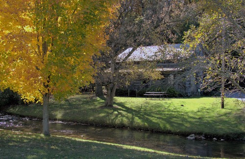 Pigeon Forge Condo | CONDO, 1 Block to Parkway, PRIVATE WiFi , POOL, King Bed, WALK to ISLAND
