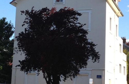 Quartier Chorier-Berriat Apartment | Confort douceur et calme dans Grenoble