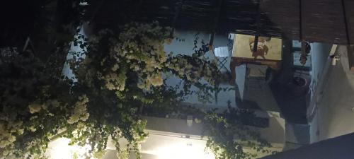 Megalochori House | Constantis Mansion