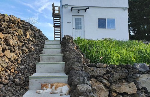 Sehwa-ri Bed & Breakfast | Contain Jeju-Darangswi