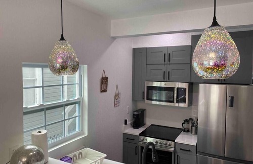 Tampa Heights House | Contemporary Bungalow Walk to Armature & Riverwalk