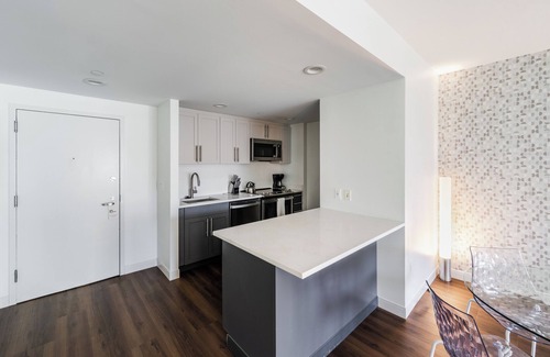 MIT Apartment | Contemporary One Bedroom in Kendall Square