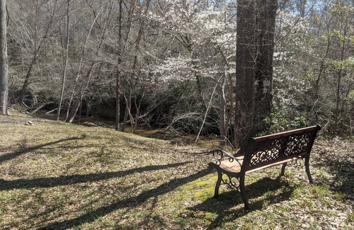 Marietta Cabin | Conveniently Located Saluda Riverfront Stay