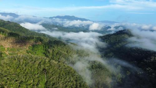 Than To Resort | COOL CAMPING-Klang Khao1
