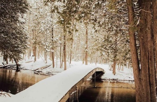 Irons Cabin | Cool Creek Cabin 1 Bedroom 1 Bath on 10 Acres w/creek frontage