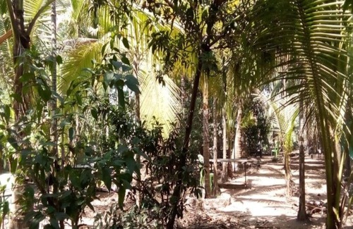 Nagaon Cottage | COOL & PLEASENT STAY IN NATUTRE @ DAKWE COTTAGE WITH DELICIOUS FOOD , NEAR BEACH