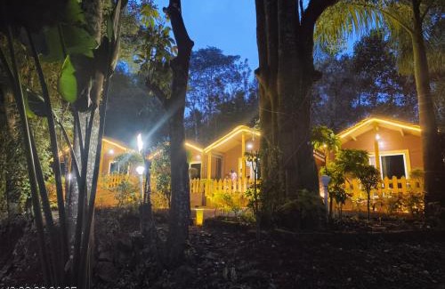 Virarajendrapet House | Coorg amodhini