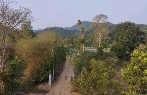 Madikeri House | Coorg hill crest family room