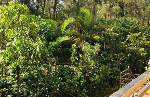 Madikeri House | Coorg West End Home Stay