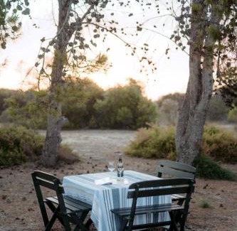 Nangkita House | Coorong Cottage- Waterfront, Nature, Hiking