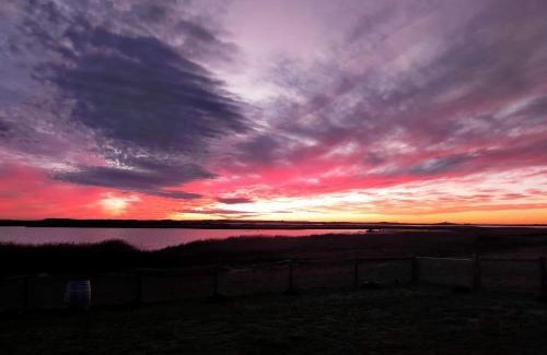 Bonney House | Coorong Island Retreat - Farm Stay at Pet Friendly Property