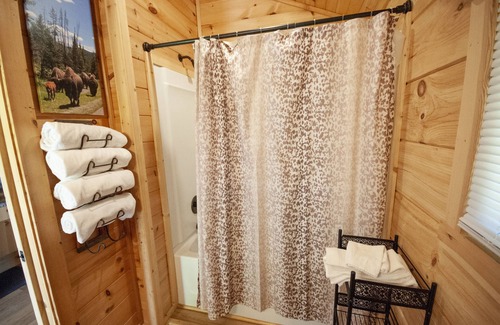 Blairsville Cabin | Copperhead Lodge Cabin number 2. 1 bedroom 1 bath Sleeper Sofa. Sleeps 4.