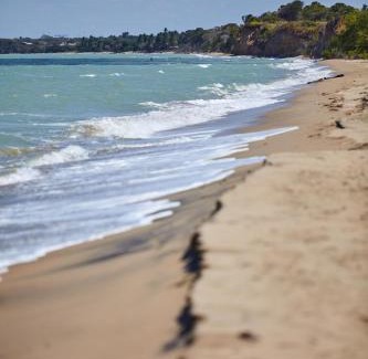 La Guajira House | Corazon Guajiro Cabaña frente a Playa Solitaria en Dibulla cerca a Palomino - Cabin in front of Solitary Beachs