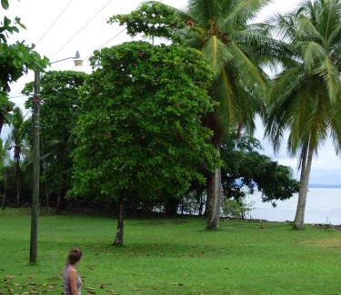Puerto Jimenez Cabin | Corcovado Beach Lodge