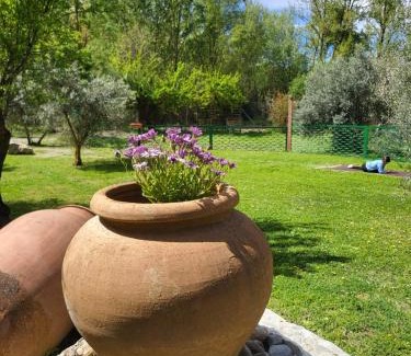Dudar House | Cortijo Batán