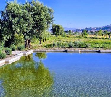 La Zubia House | Cortijo de la Seda
