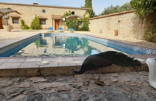 Humilladero Cottage | Cortijo Ferradores 4