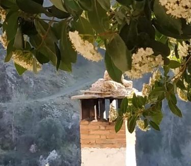 Guejar Sierra House | Cortijo La Solana