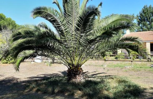 Lucena del Puerto House | Cortijo los Conquistadores Vakantiehuis
