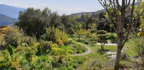 Portugos House | Cortijo Opazo