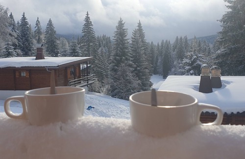 Premanon Ski Chalet | Cosy and comfortable 4-star chalet in a peaceful natural setting