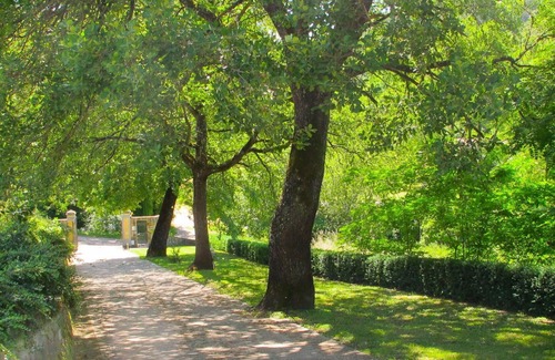 San Giovanni Valdarno Apartment | Cosy apartment for 6 guests with pool, WIFI, TV, terrace, pets allowed and parking