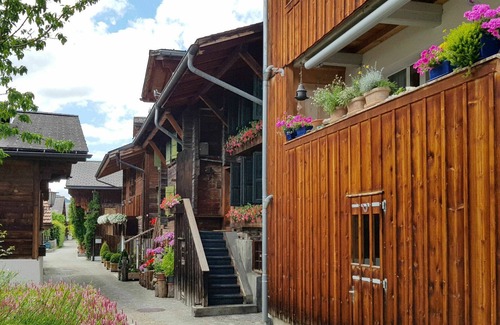 Saanen Apartment | Cosy apartment for 12 guests with WIFI, TV and terrace
