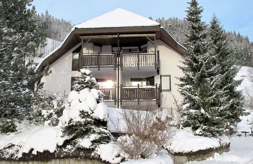 Todtnau Apartment | Cosy apartment for 4 guests with WIFI, TV, terrace, pets allowed and parking