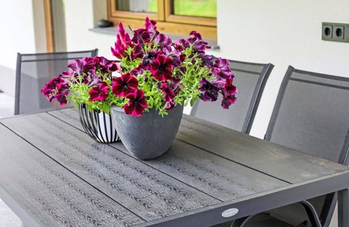 Leogang Apartment | Cosy apartment for 4 people with WIFI, TV, terrace, pets allowed and panoramic view