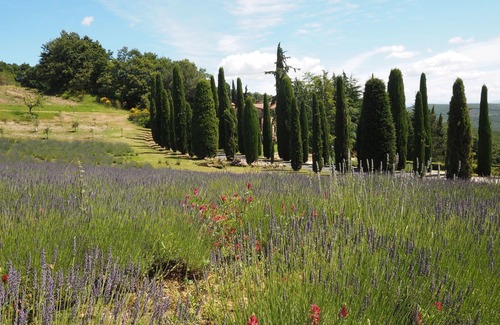 San Gimignano Apartment | Cosy apartment for 6 people with WIFI, pool and panoramic view, close to San Gimignano