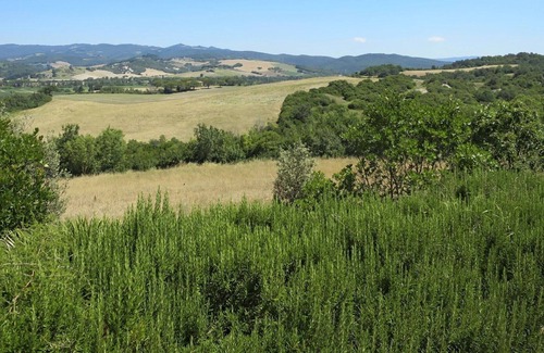 Montecatini Val di Cecina Apartment | Cosy apartment for 4 people with WIFI, pool, patio, pets allowed and parking