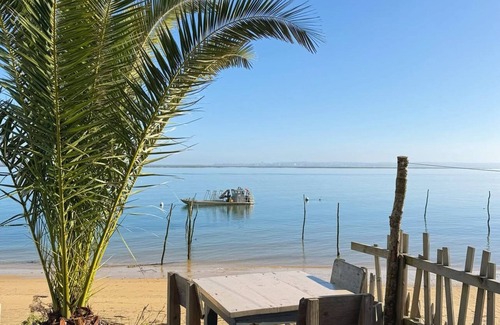 Gujan-Mestras Apartment | Cosy apartment in the heart of the Bassin d'Arcachon