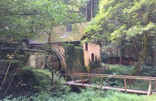 Fronhofen Apartment | Cosy apartment in Kleinich